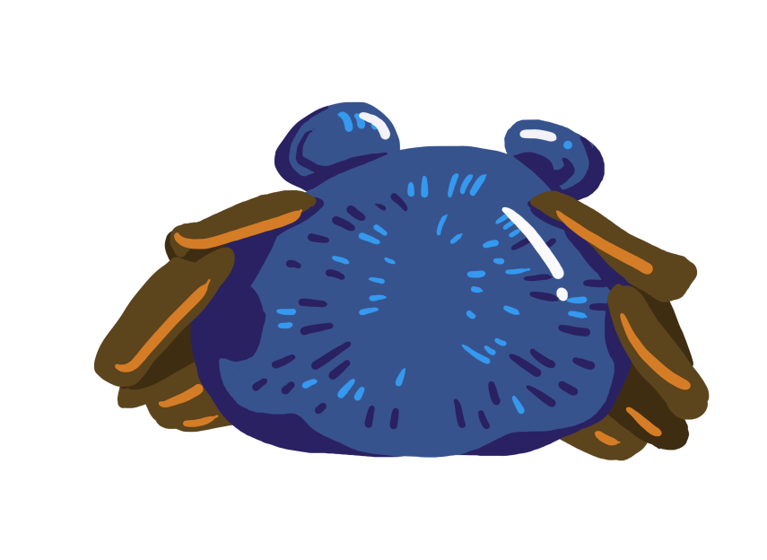 image005.png