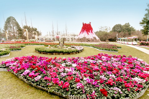 金沙太阳节热度不减  花市舞台精彩依然
