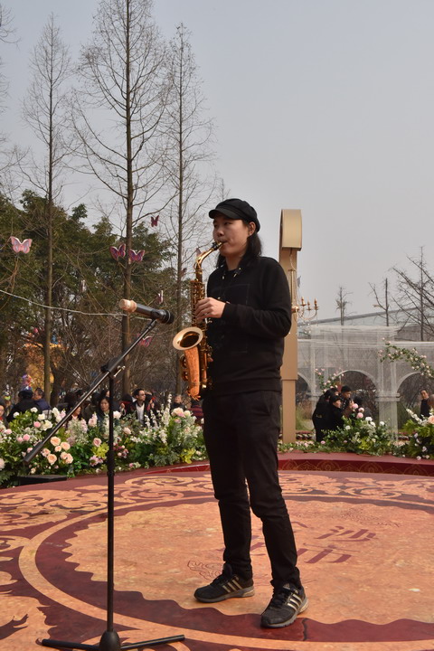 金沙太阳节热度不减  花市舞台精彩依然