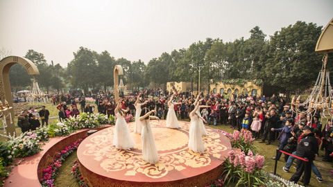 金沙太阳节热度不减  花市舞台精彩依然