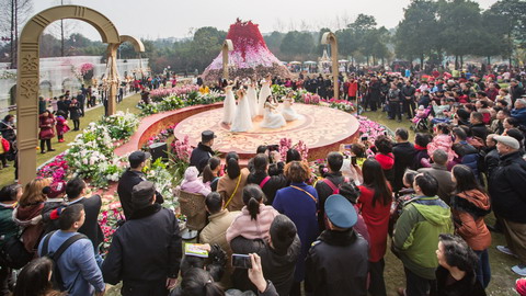 金沙太阳节热度不减  花市舞台精彩依然