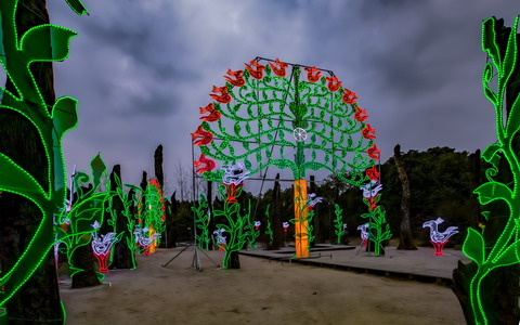 观彩灯品文化  博物馆里过新年