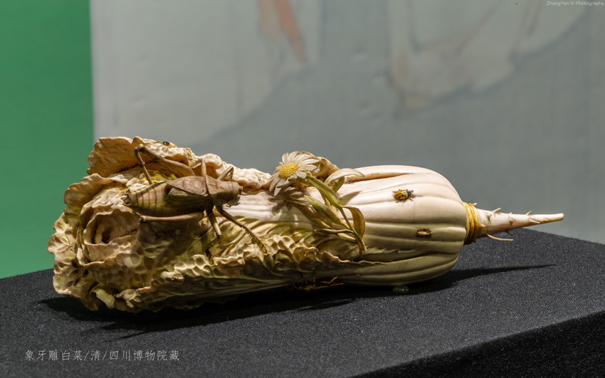 象牙雕白菜（清）_副本.jpg