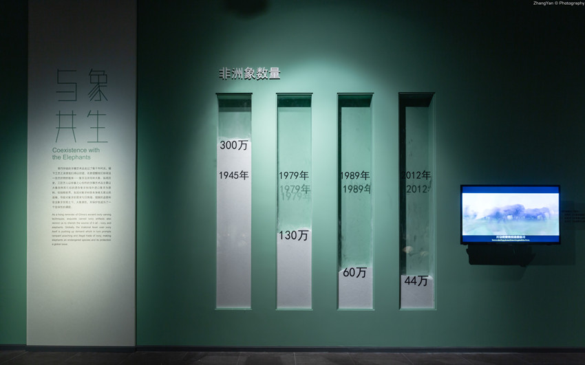 YD8_3360-1_副本.jpg