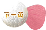 下一页